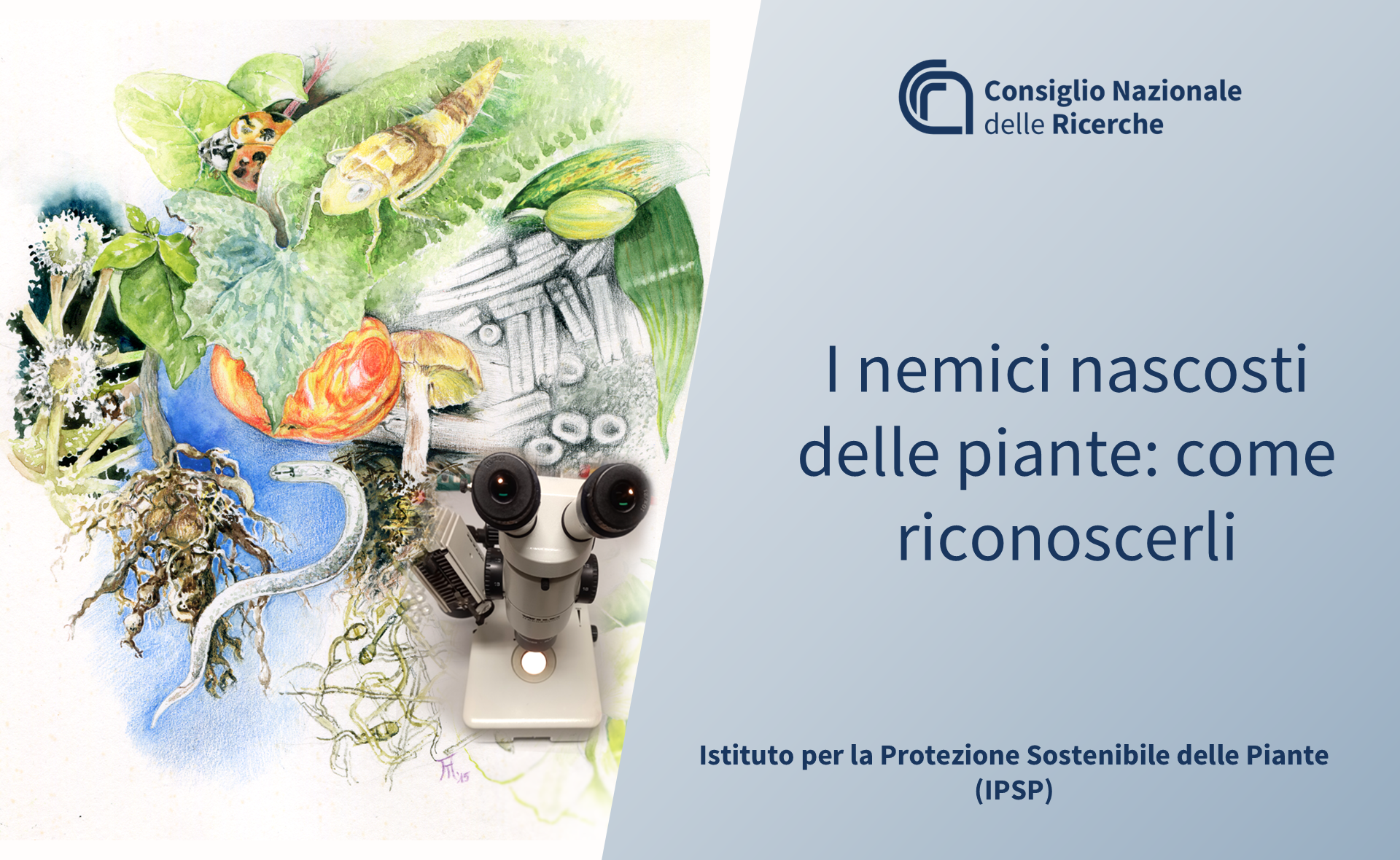 Consiglio Nazionale delle Ricerche (CNR)