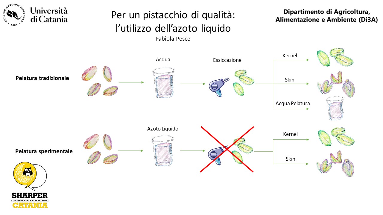 Di3A - Unict, Università di Catania