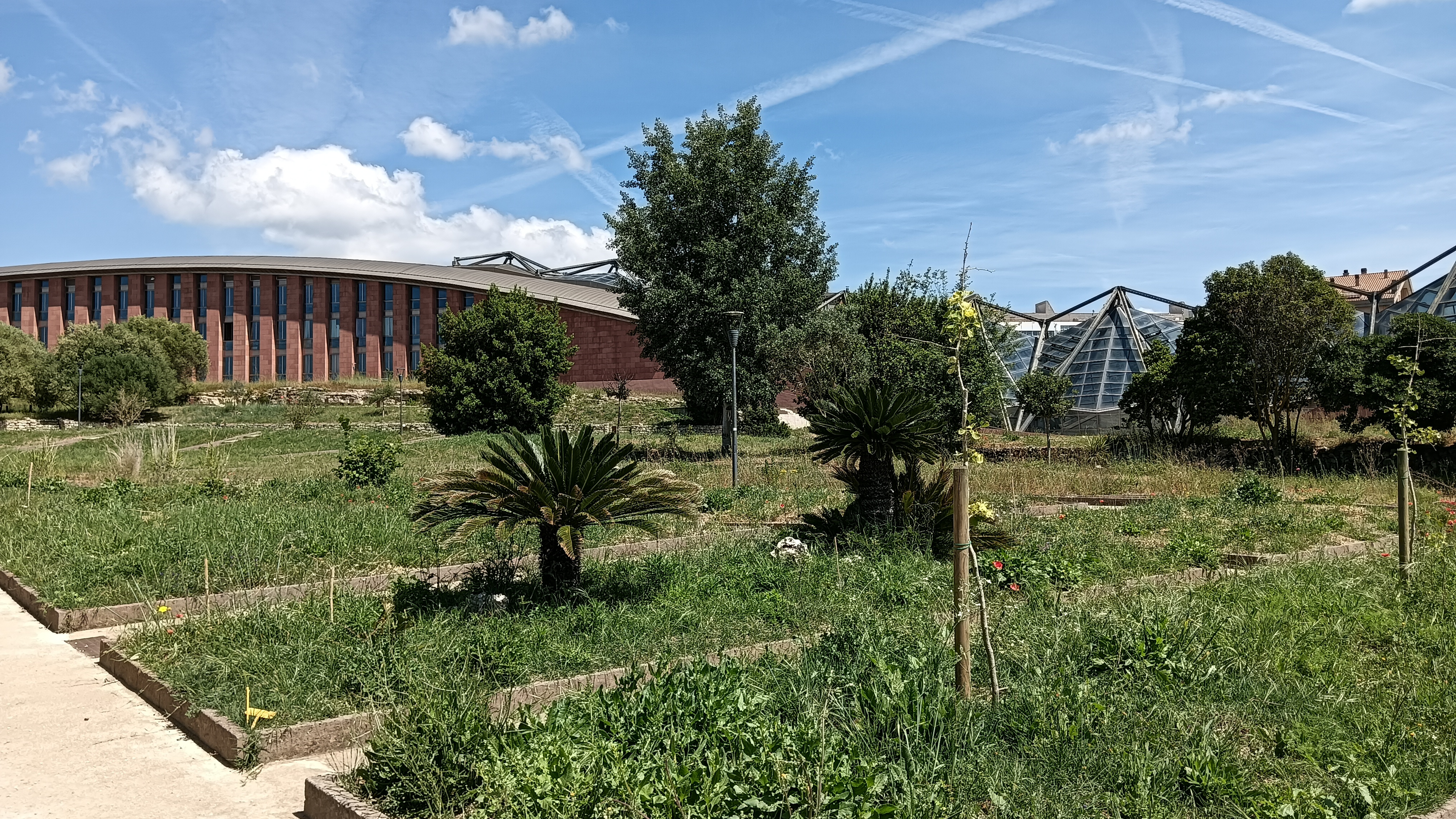 Università degli Studi di Sassari