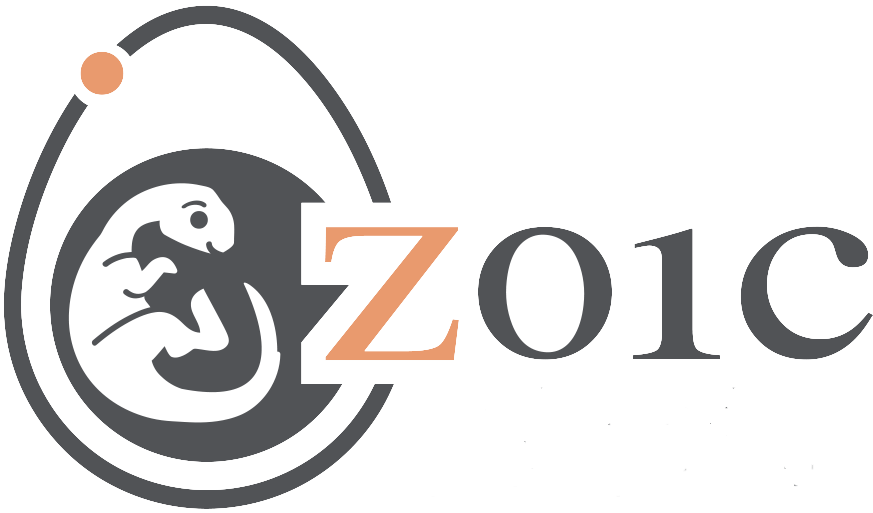 Zoic