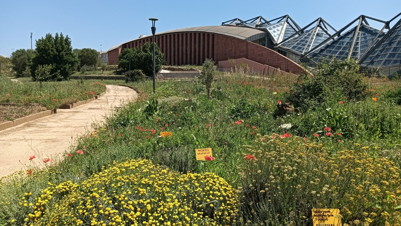 Orto Botanico dell'Università di Sassari